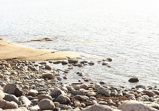 Säröhus Hotell Konferens & SPA