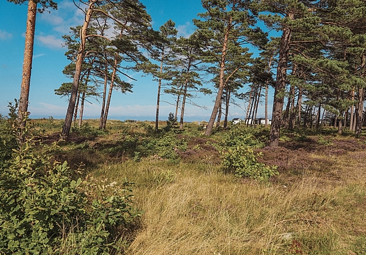 Hotel Riviera Strand