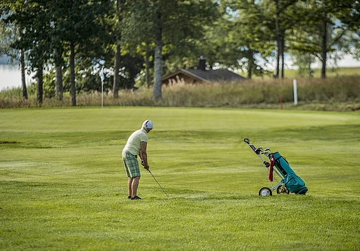Dömle Herrgård Spa & Resort - ForshagaDeje GK